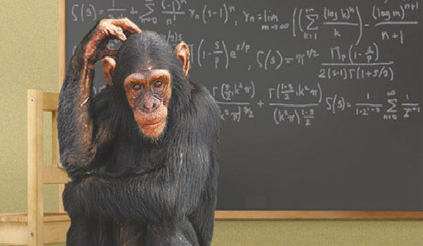 monkey math